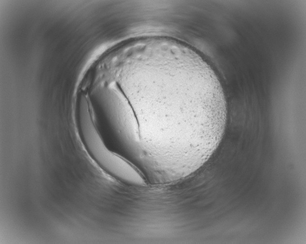 X0000062171472200512231613