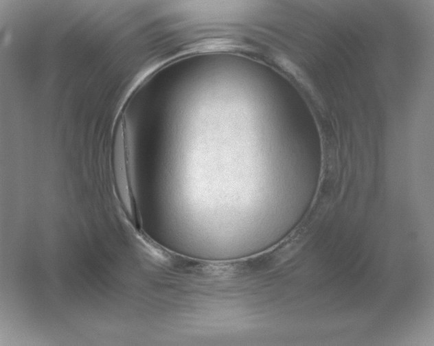 X0000062171473200512231613