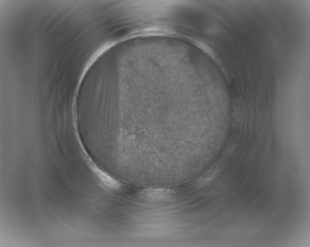 X0000062171474200512231613