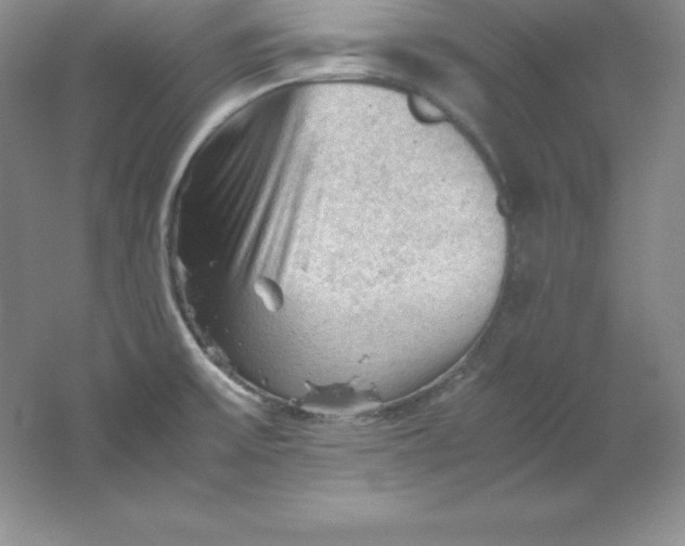 X0000062171475200512231613