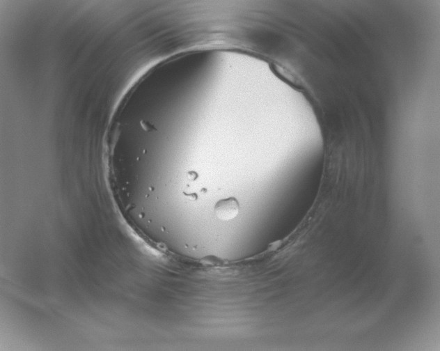 X0000062171476200512231613