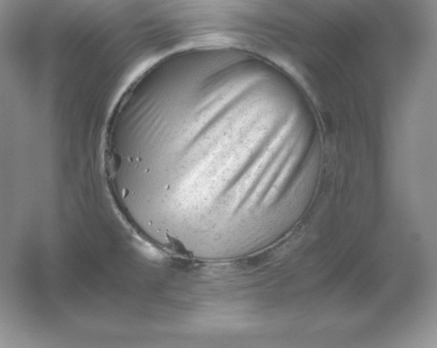 X0000062171477200512231613