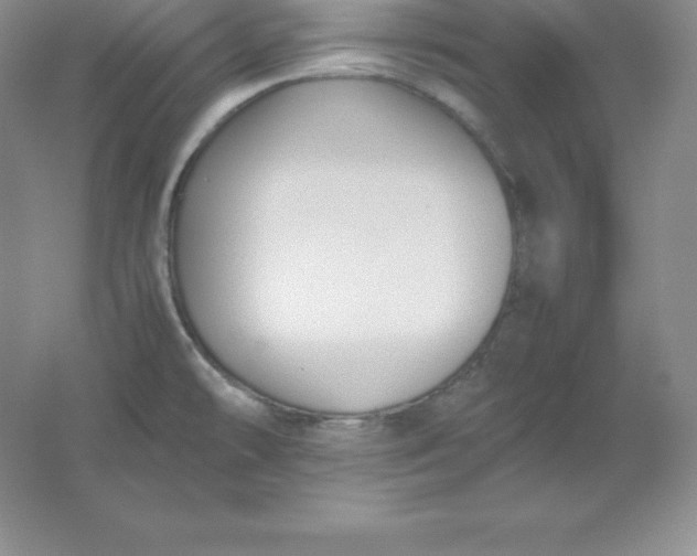 X0000062171478200512231613