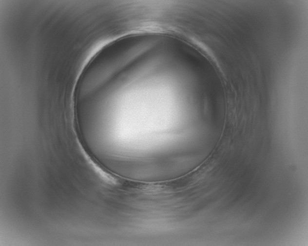 X0000062171479200512231613