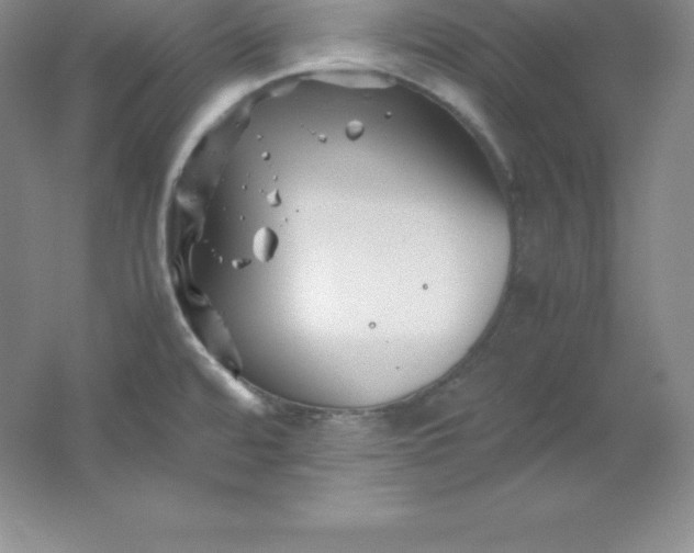 X0000062171480200512231613