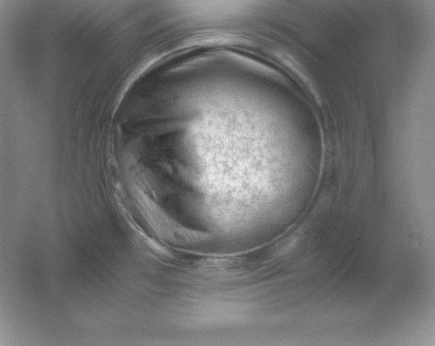 X0000062171481200512231613