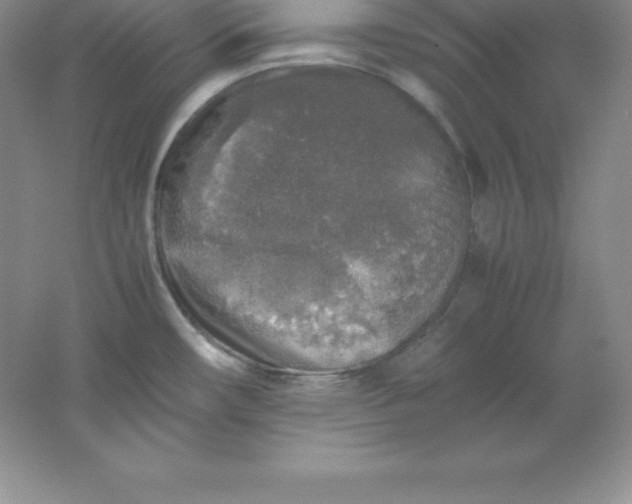 X0000062171482200512231613