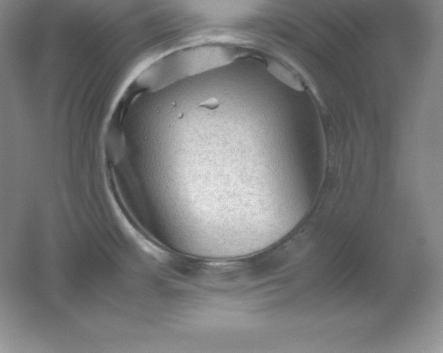 X0000062171483200512231612