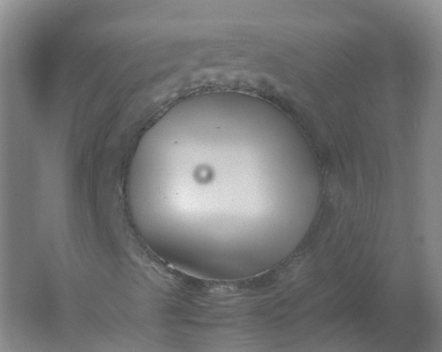 X0000062171489200512231612