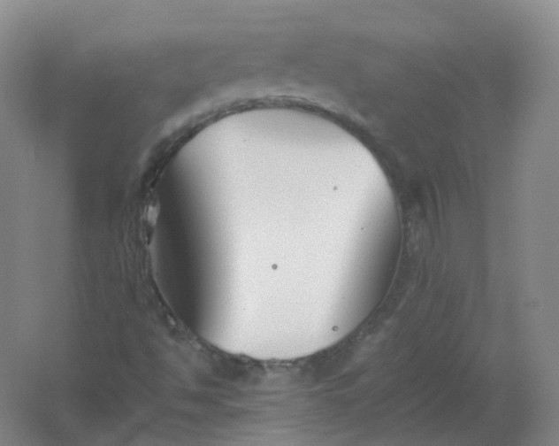 X0000062171494200512231612