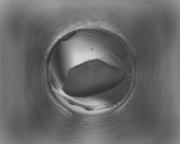 X0000062171506200512231612