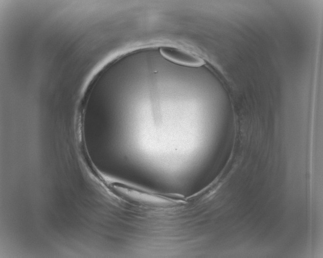 X0000062171510200512231612