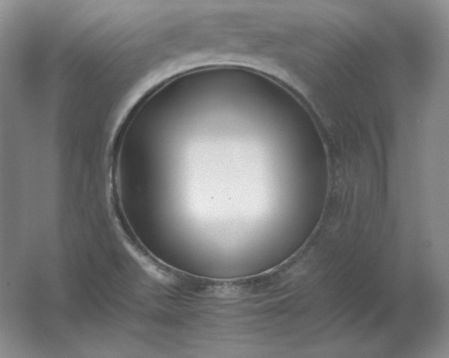 X0000062171511200512231612