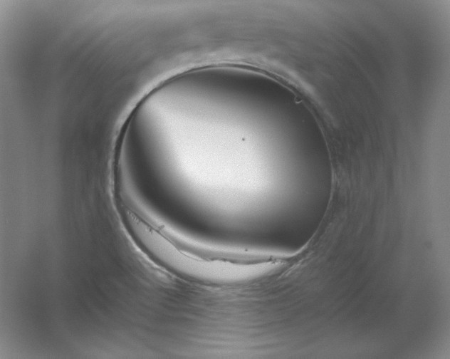 X0000062171512200512231612