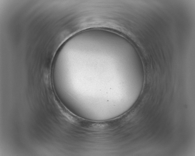 X0000062171513200512231612