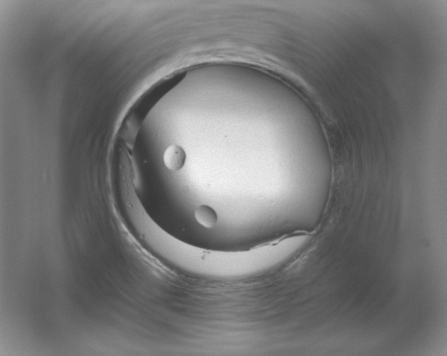 X0000062171514200512231612