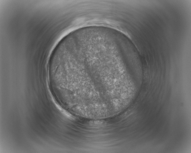 X0000062171515200512231612