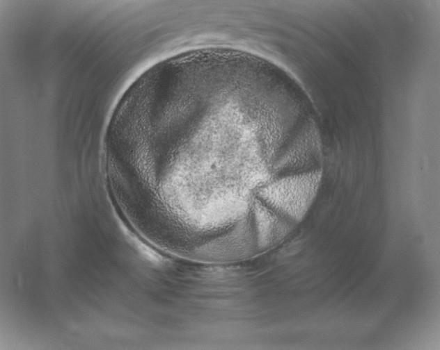 X0000062171527200512231612