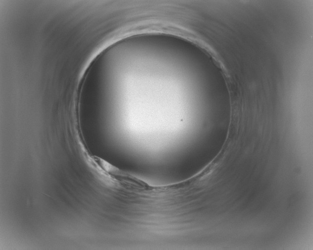 X0000062171530200512231612