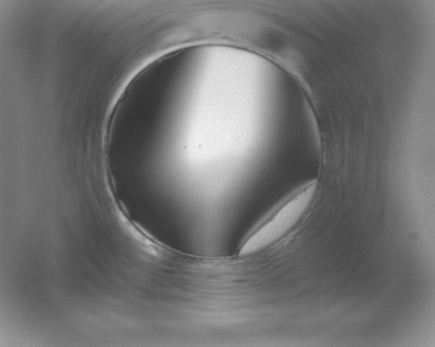 X0000062171532200512231612