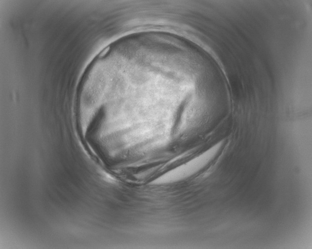 X0000062171533200512231612