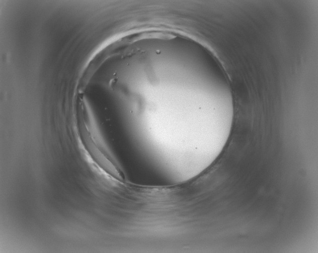 X0000062171534200512231612