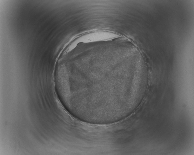 X0000062170002200512301657