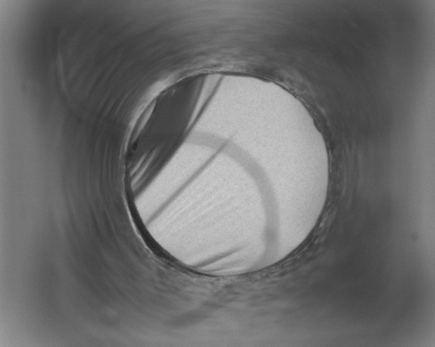 X0000062170003200512301657