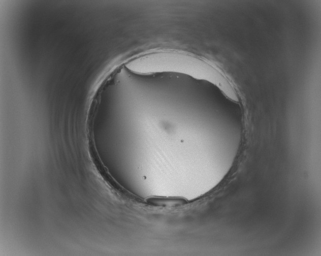 X0000062170007200512301657