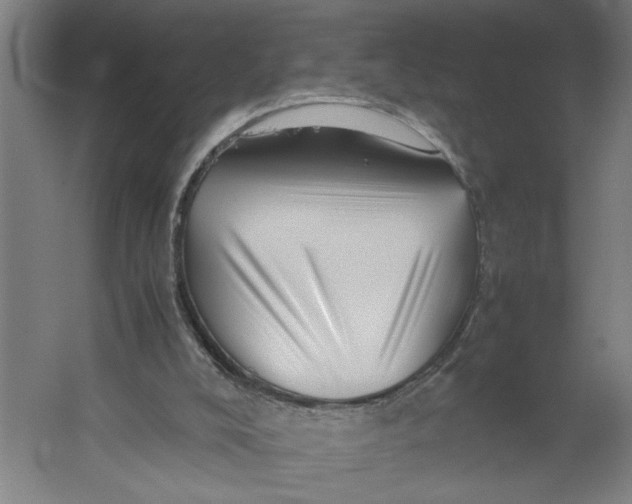 X0000062170008200512301657