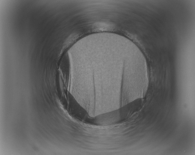 X0000062170010200512301657