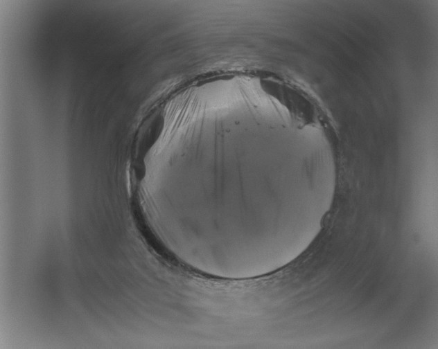 X0000062170019200512301657
