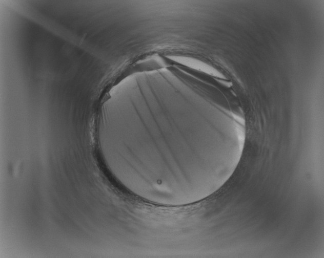 X0000062170023200512301657