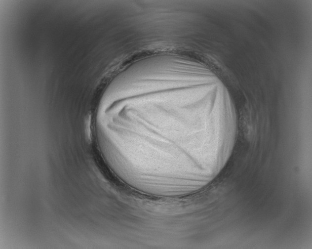 X0000062170024200512301657