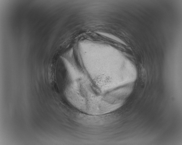 X0000062170030200512301657