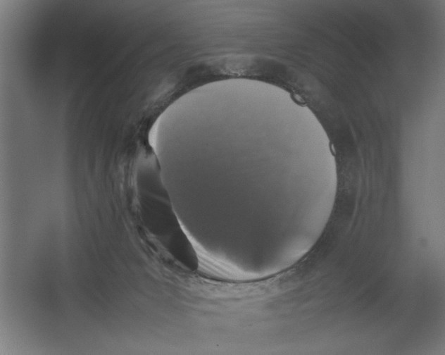 X0000062170031200512301657