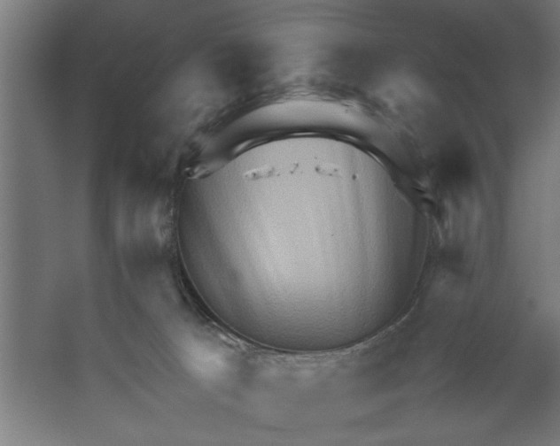X0000062170033200512301657