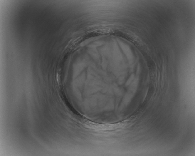 X0000062170035200512301657