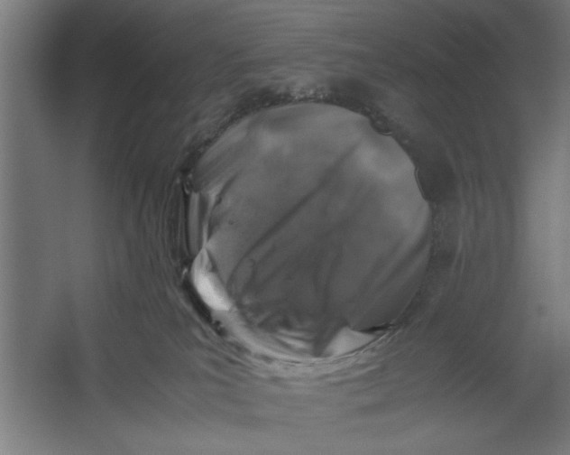 X0000062170039200512301657