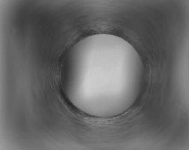 X0000062170040200512301657
