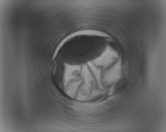 X0000062170048200512301656