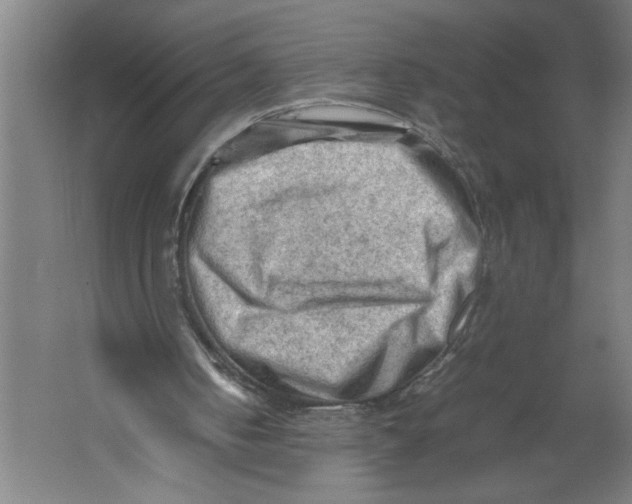 X0000062170050200512301656