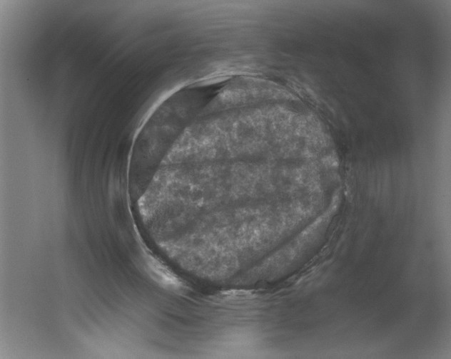 X0000062170052200512301656