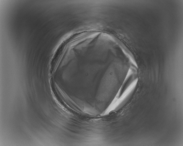 X0000062170054200512301656