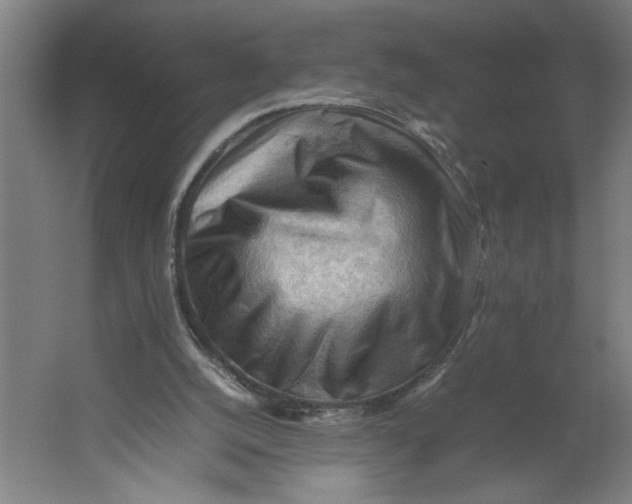 X0000062170056200512301656