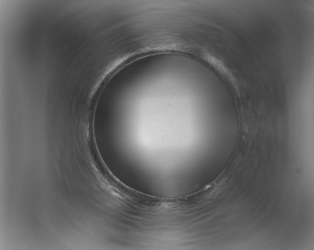 X0000062170060200512301656