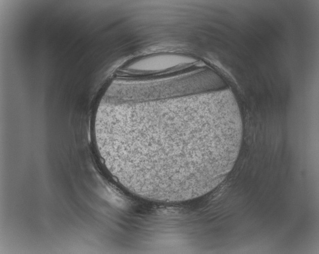 X0000062170062200512301656