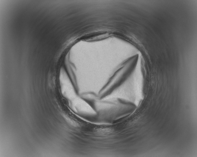 X0000062170063200512301656