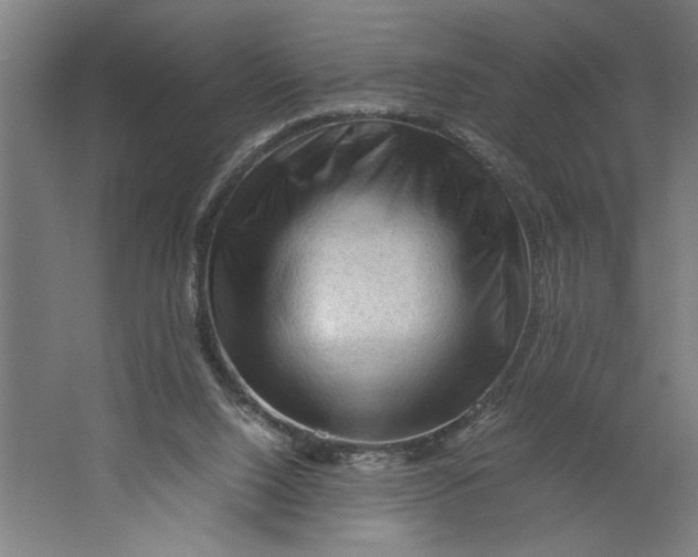 X0000062170064200512301656