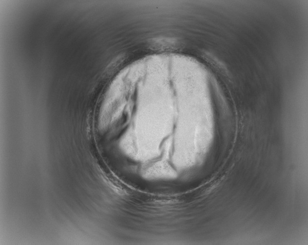 X0000062170065200512301656